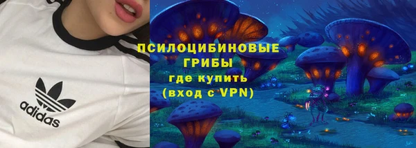 амф Алексин