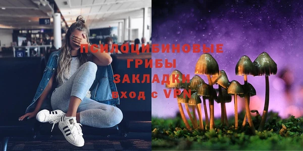 амф Алексин