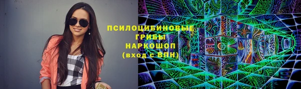 амф Алексин